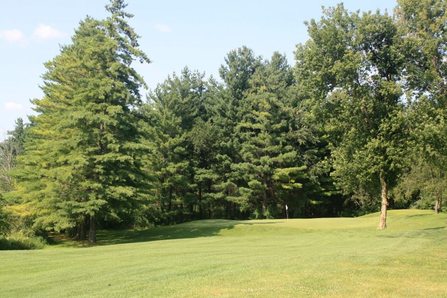 Course Details Pine Hills Golf Course