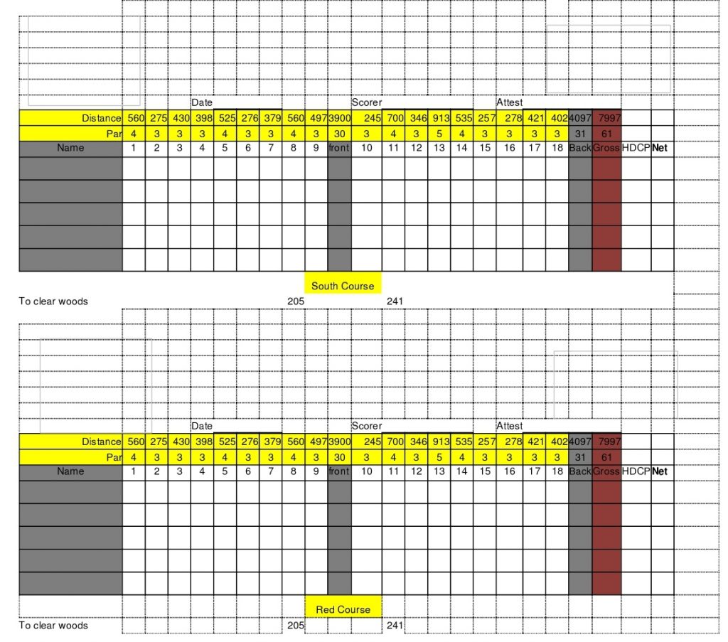 Printable Disc Golf Scorecard